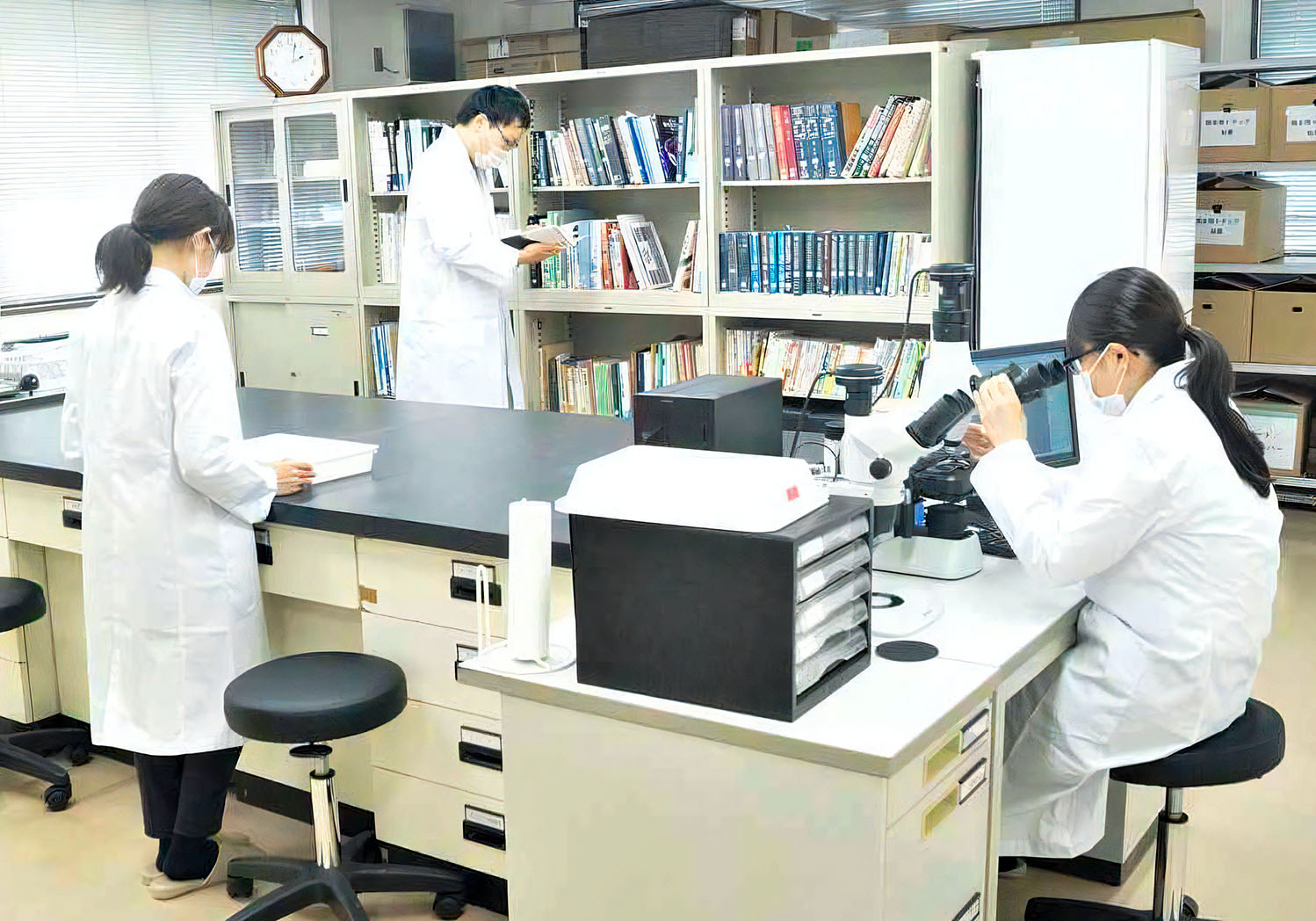 役に立つ情報も併せて報告