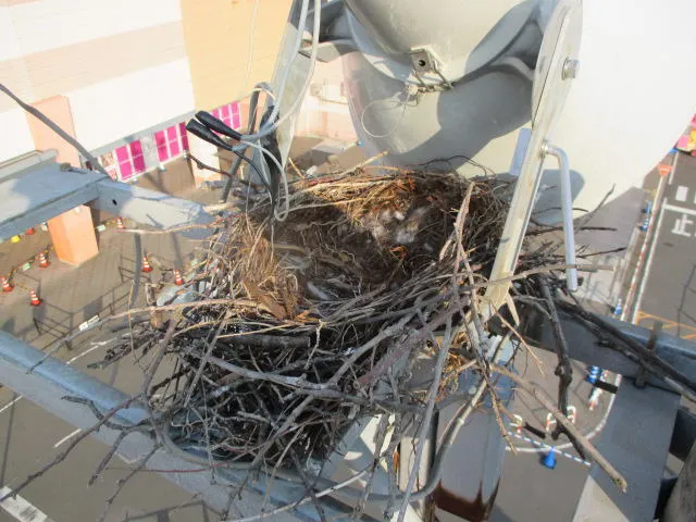 東洋産業による生物害対策