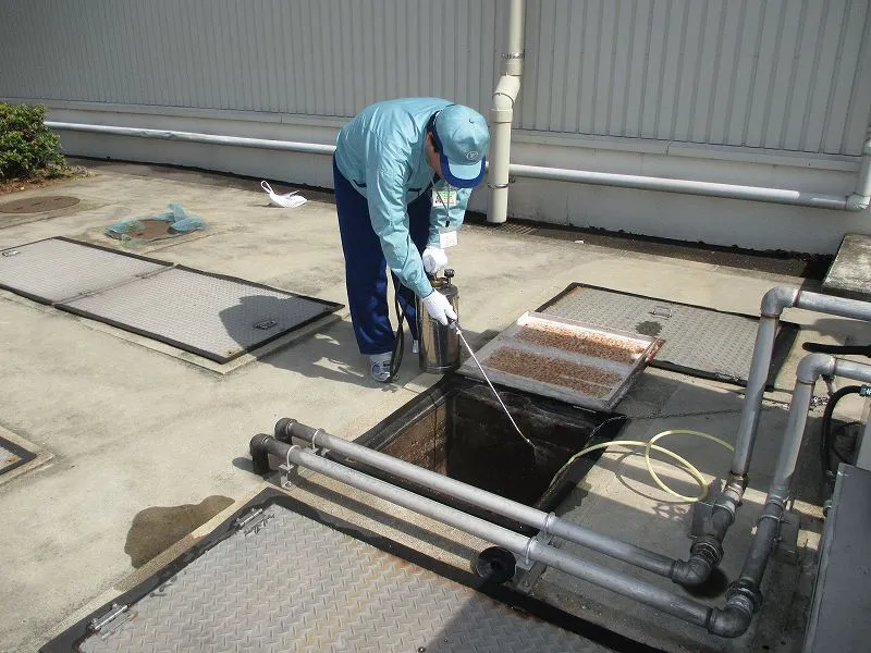 屋外排水殺虫処理