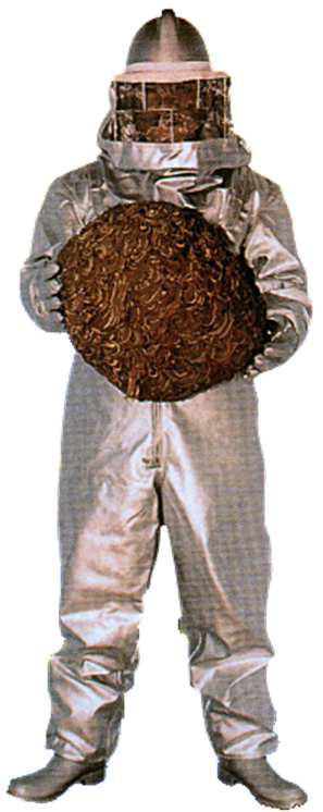 ハチ防護服